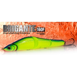 MOLIX  BRIGANTE 160F